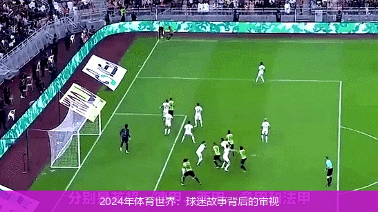2024年体育世界:球迷故事背后的审视