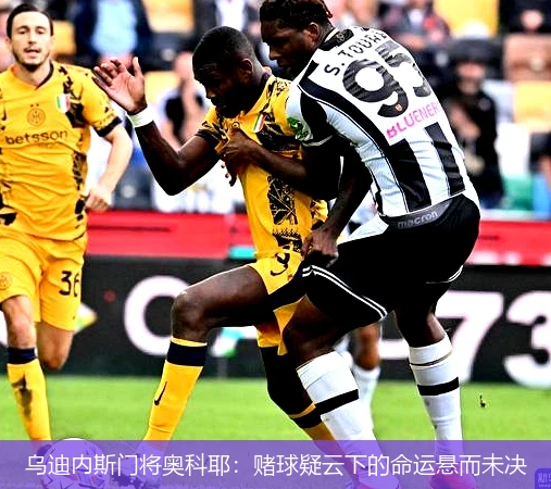 乌迪内斯门将奥科耶:赌球疑云下的命运悬而未决
