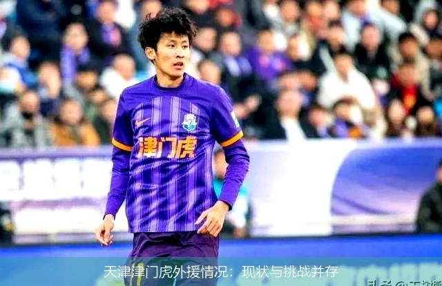 天津津门虎外援情况:现状与挑战并存