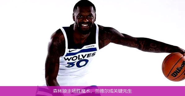 森林狼主场胜魔术,兰德尔成关键先生