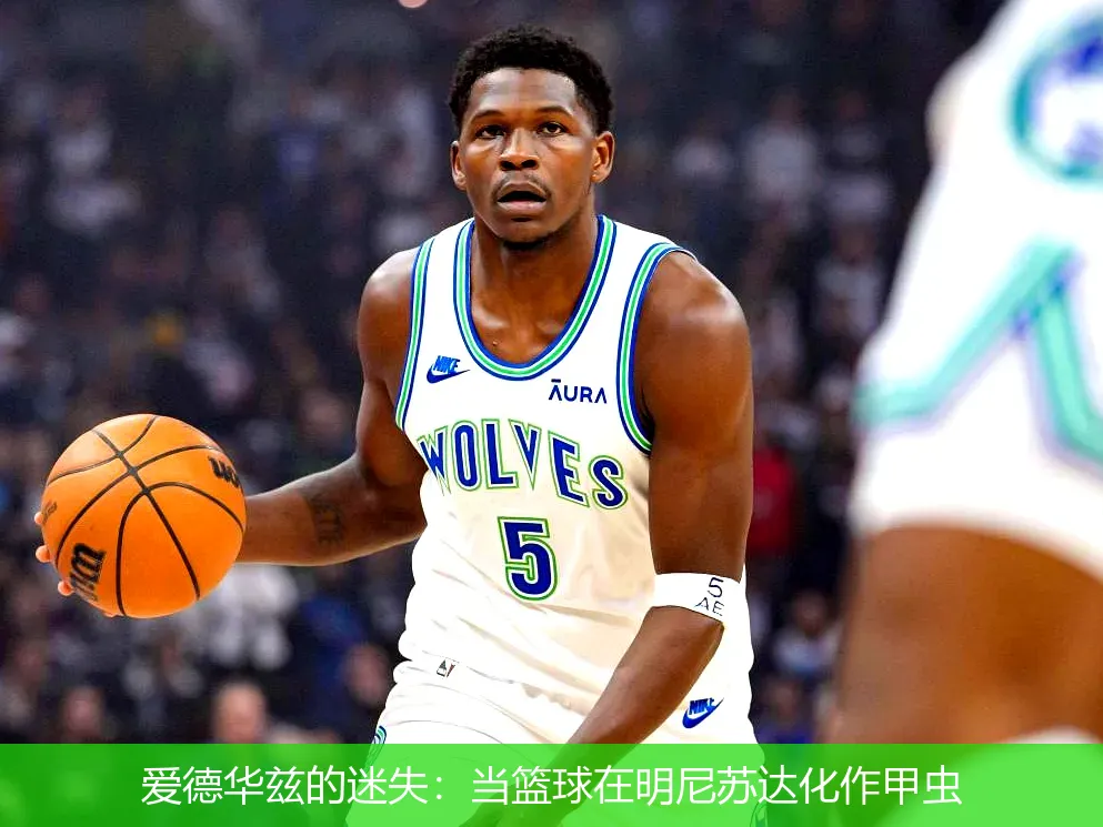 爱德华兹的迷失:当篮球在明尼苏达化作甲虫
