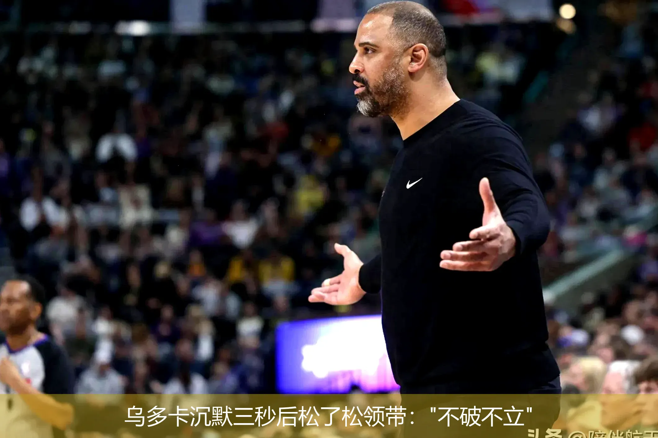 乌多卡沉默三秒后松了松领带: