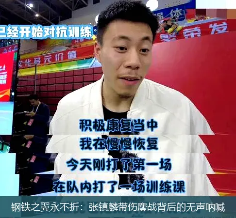 钢铁之翼永不折:张镇麟带伤鏖战背后的无声呐喊