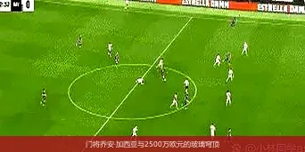 门将乔安·加西亚与2500万欧元的玻璃穹顶