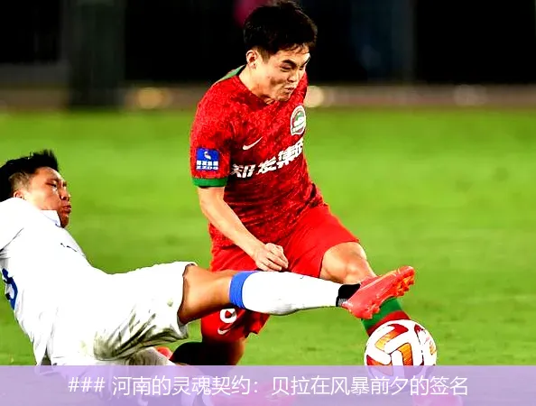 ### 河南的灵魂契约:贝拉在风暴前夕的签名