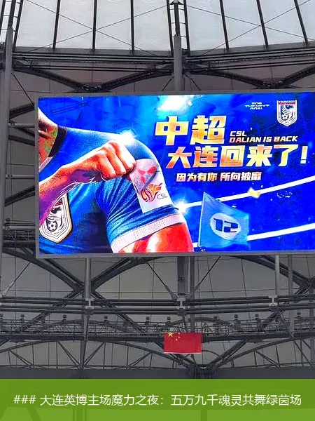 ### 大连英博主场魔力之夜:五万九千魂灵共舞绿茵场