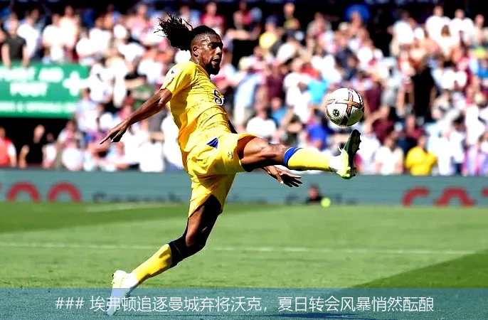 ### 埃弗顿追逐曼城弃将沃克,夏日转会风暴悄然酝酿