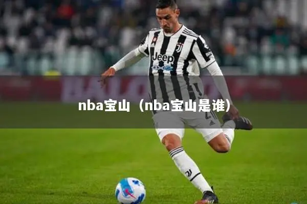 nba宝山（nba宝山是谁）