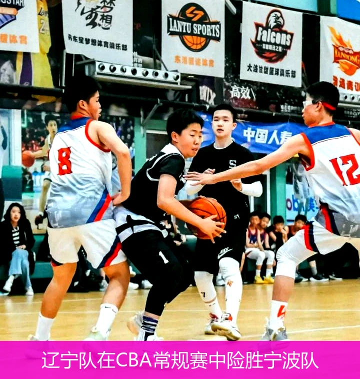 辽宁队在CBA常规赛中险胜宁波队
