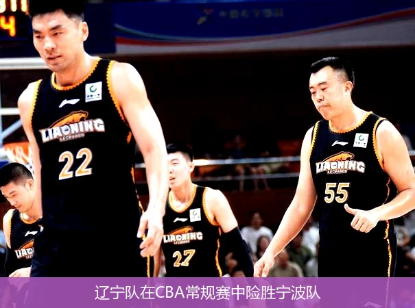 辽宁队在CBA常规赛中险胜宁波队