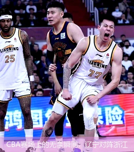 CBA赛场上的无奈瞬间：辽宁对阵浙江