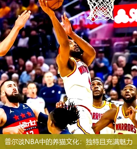 普尔谈NBA中的养猫文化：独特且充满魅力