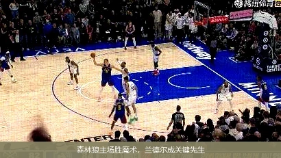 森林狼主场胜魔术，兰德尔成关键先生